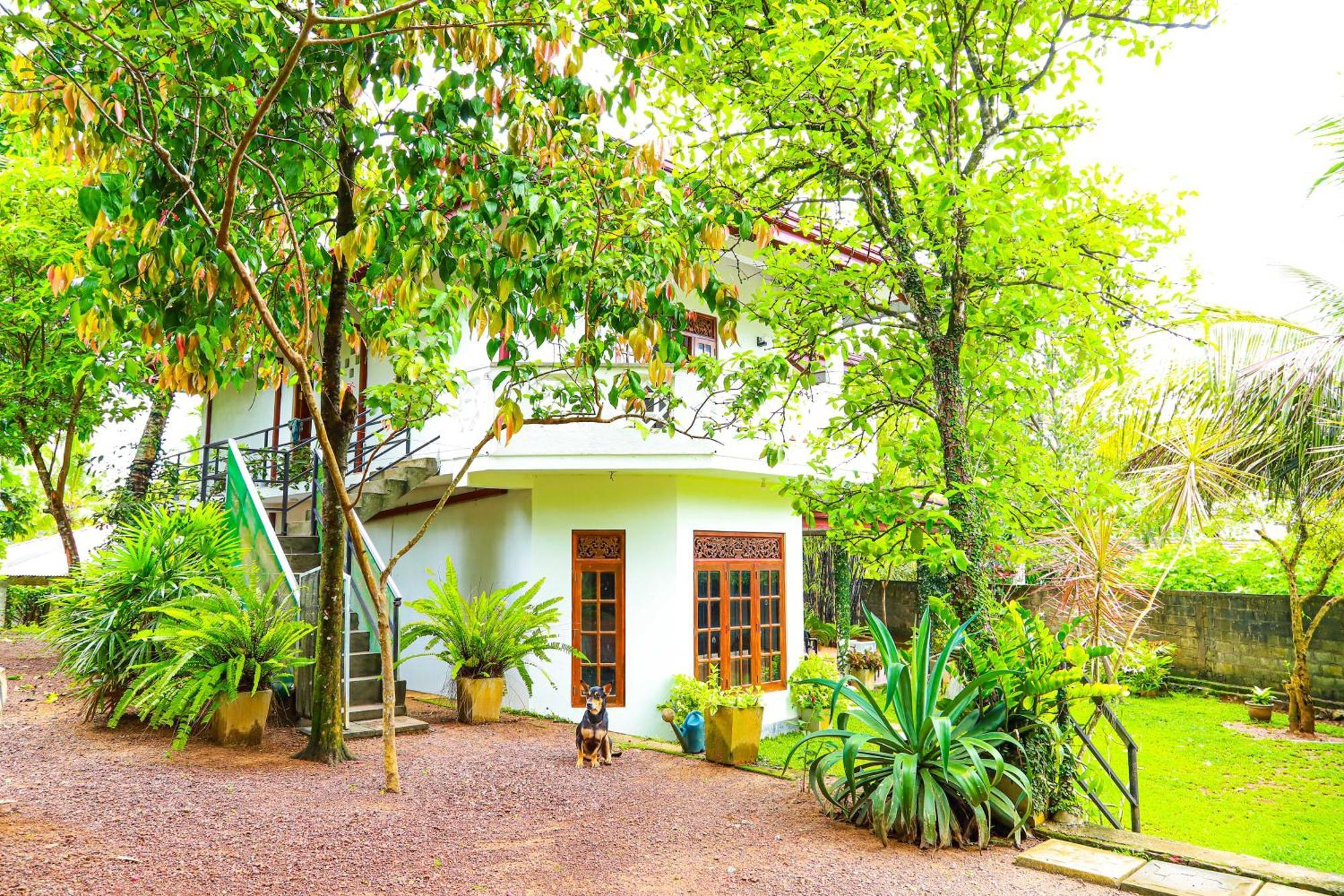 Dil'S Place Beruwala Exterior photo